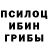 Бошки Шишки планчик Mykola Grytsenko